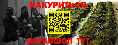 эйфоретик Бузулук