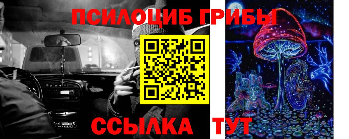 Энгельс  Галлюциногенные грибы ЛСД  Вход с VPN 